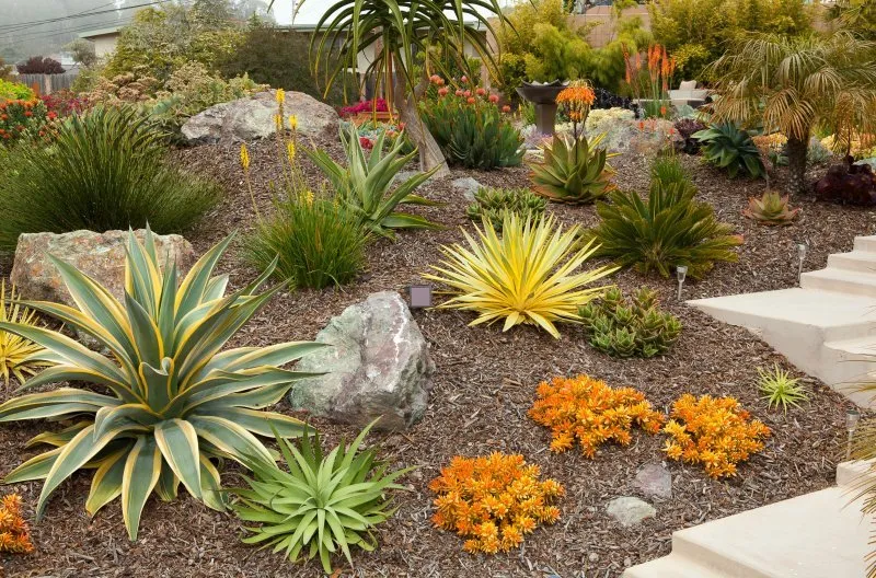 Affordable outdoor landscaping in Brea, CA - Tekton Group