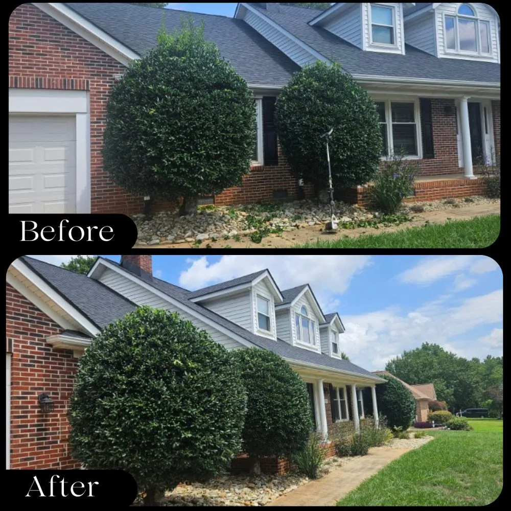 Expert garden landscaping in Greenville, SC by Tekton Landscaping