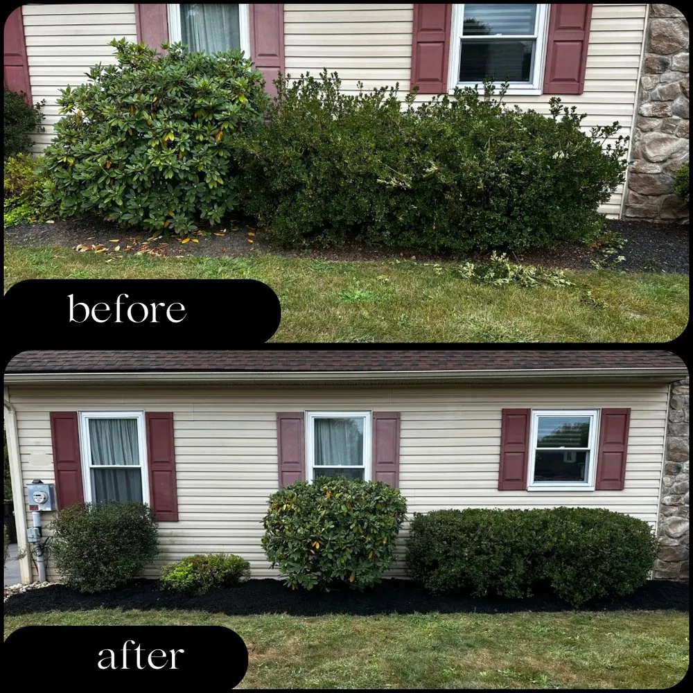Local yard cleanup service near you in Greenville, SC by Tekton Landscaping