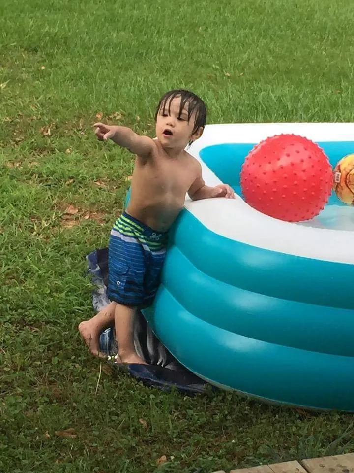 Affordable landscape installation in Tuscaloosa, AL by Teldani Landscaping