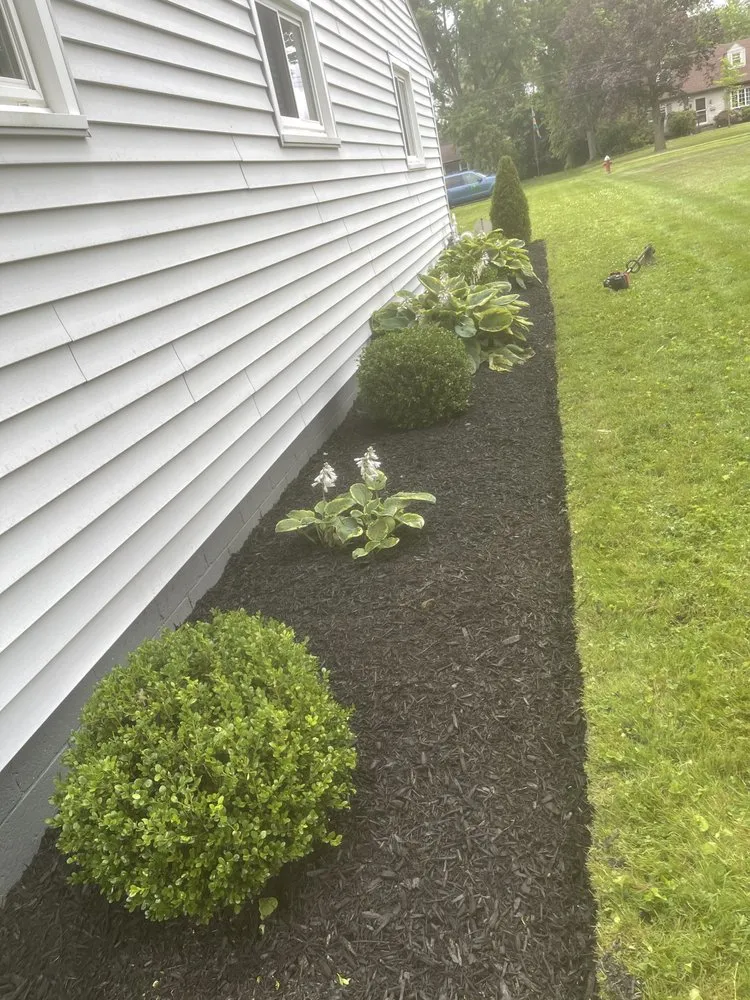 Top-rated landscape installation for residential properties in Warren, OH by Telego Cut & Scape