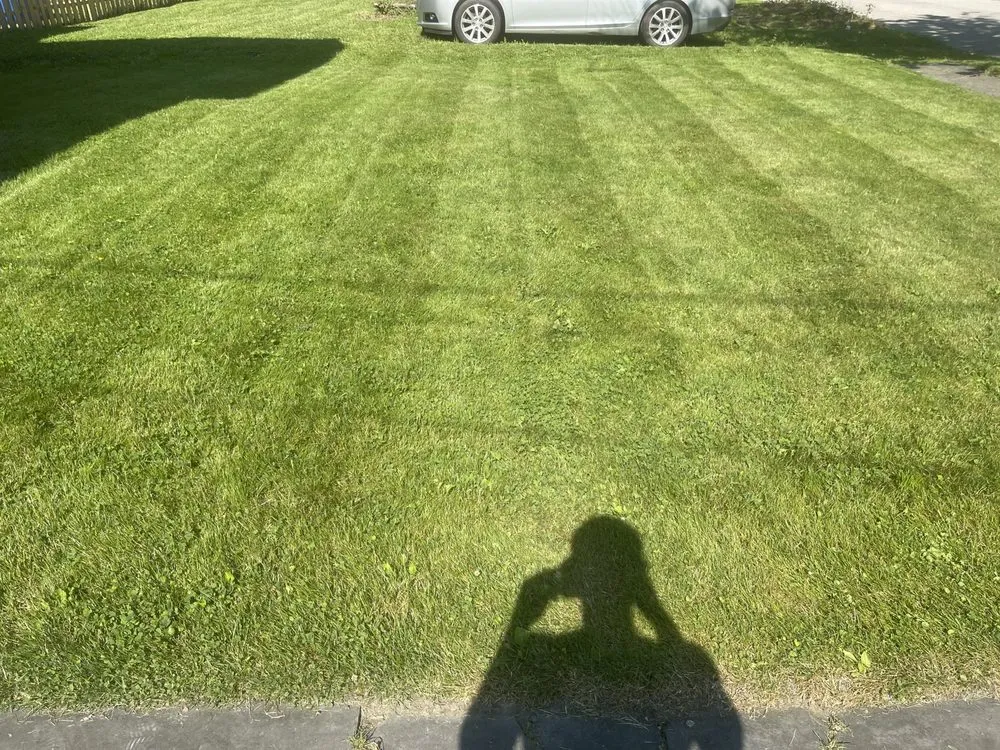 Local landscape installation in Warren, OH by Telego Cut & Scape