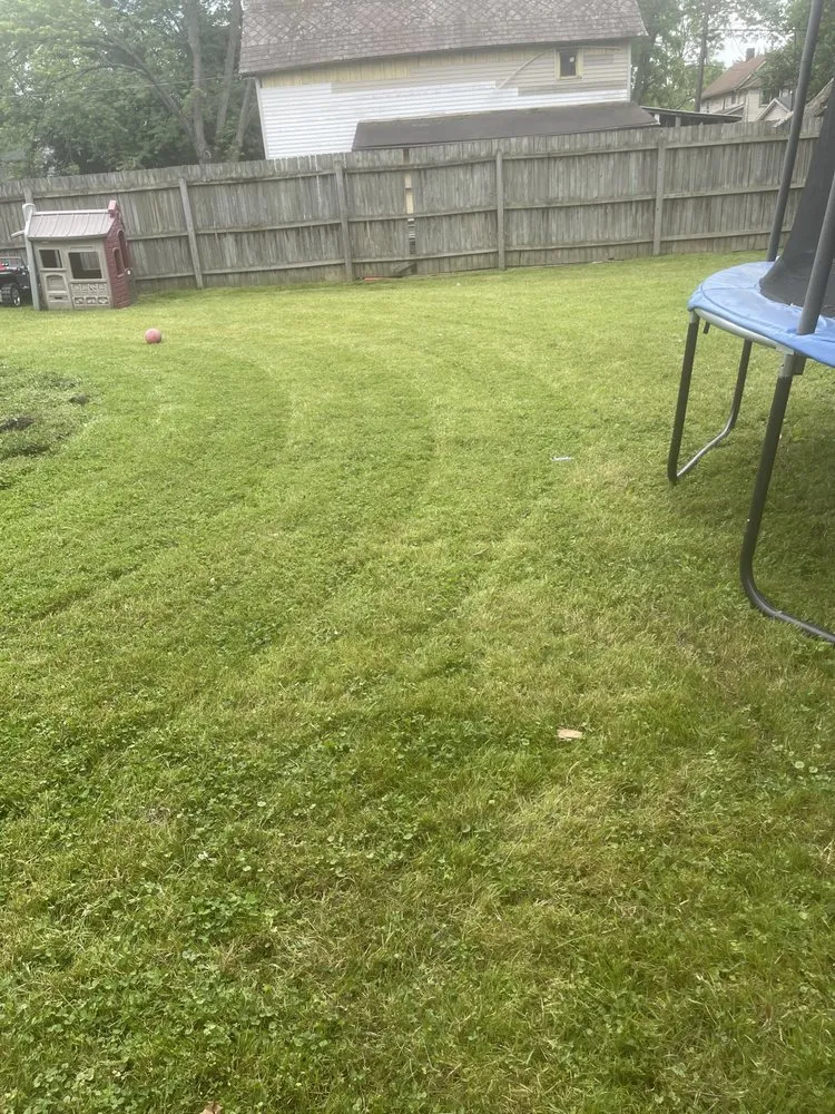 Professional yard cleanup service in Warren, OH - Telego Cut & Scape