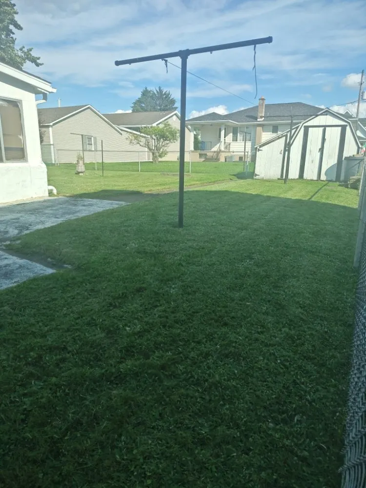 Custom lawn care service in Scranton, PA by Telencio Yard