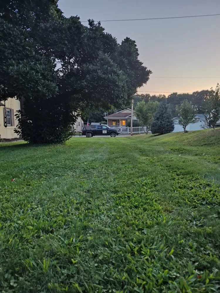 Professional landscape design for residential properties in Scranton, PA by Telencio Yard