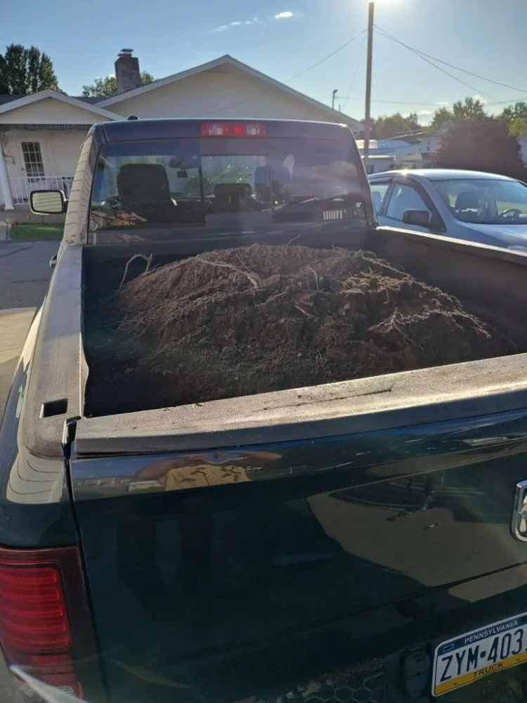 Professional residential landscaping with custom design across Scranton, PA - Telencio Yard