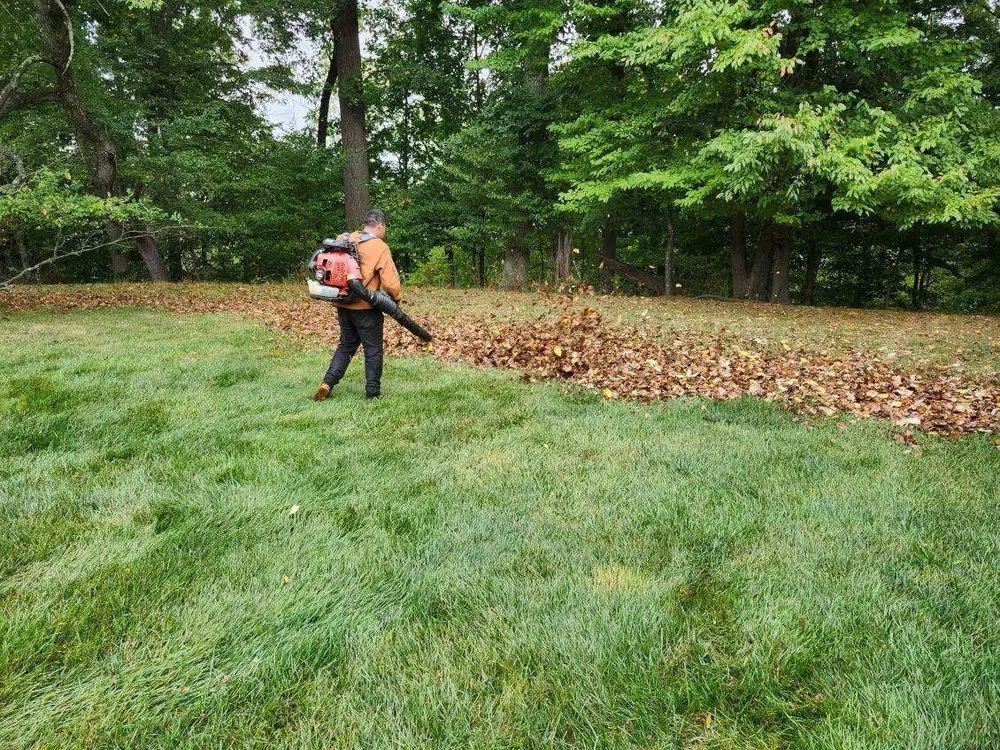 Top-rated lawn mowing service in Middletown Township, NJ - Telepun Landscaping