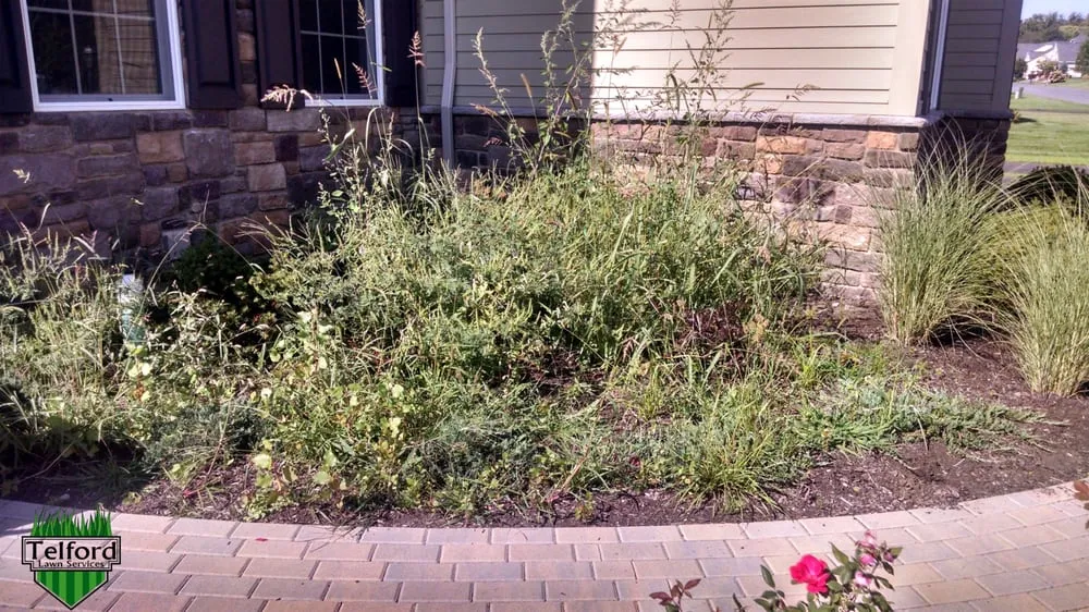 Custom yard maintenance in Hoosick Falls, NY - Telford Lawn Services