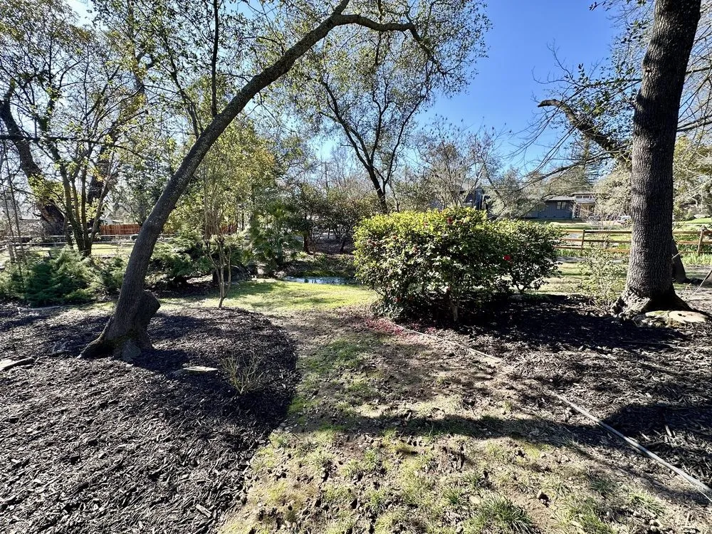 Trusted outdoor landscaping in Roseville, CA - Tellez Landscapes