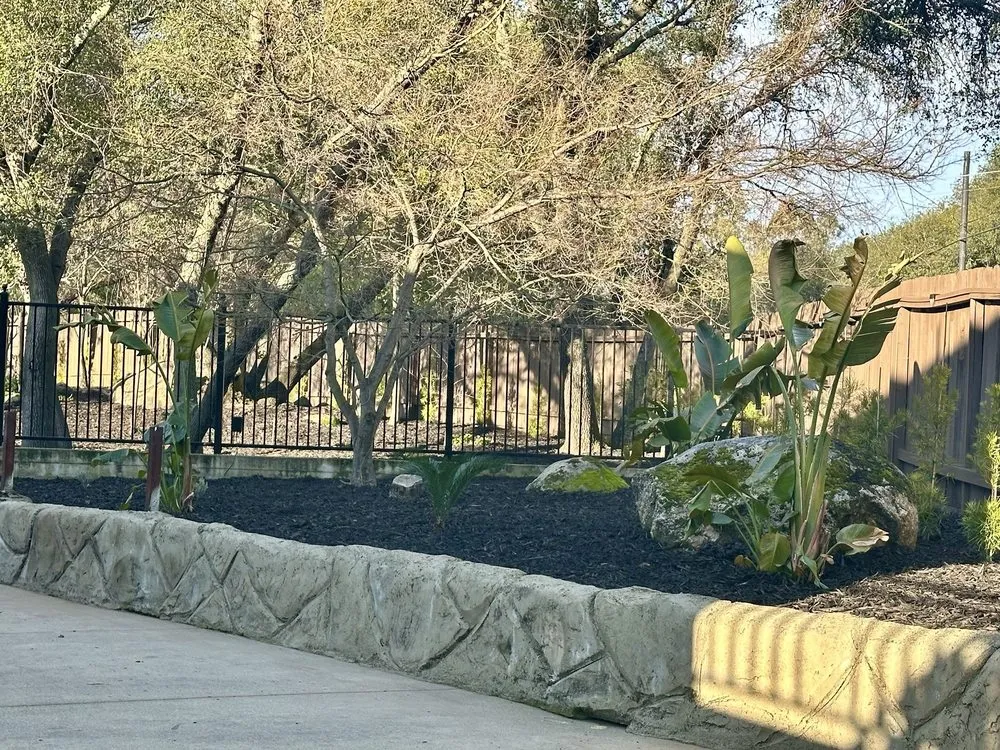 Custom lawn mowing service in Roseville, CA by Tellez Landscapes