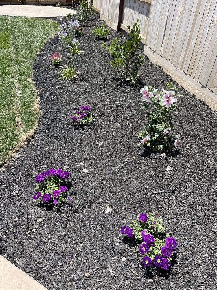 Reliable lawn care service with custom design across Roseville, CA - Tellez Landscapes