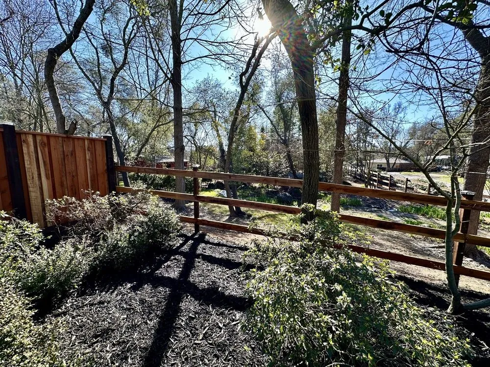 Professional yard cleanup service for residential properties across Roseville, CA - Tellez Landscapes