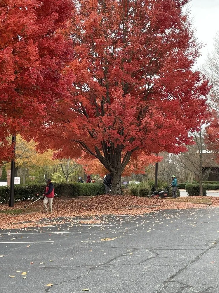 Top-rated garden landscaping experts serving Winston-Salem, NC - Tellez Landscaping and Lawncare