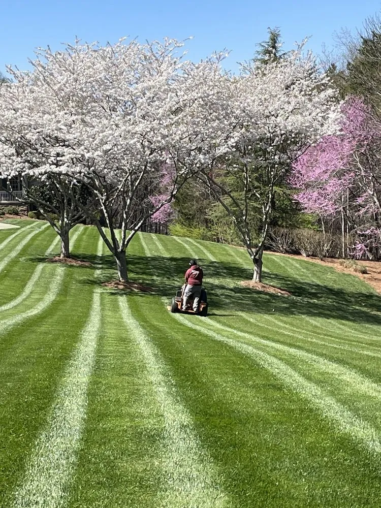 Reliable landscape installation in Winston-Salem, NC by Tellez Landscaping and Lawncare