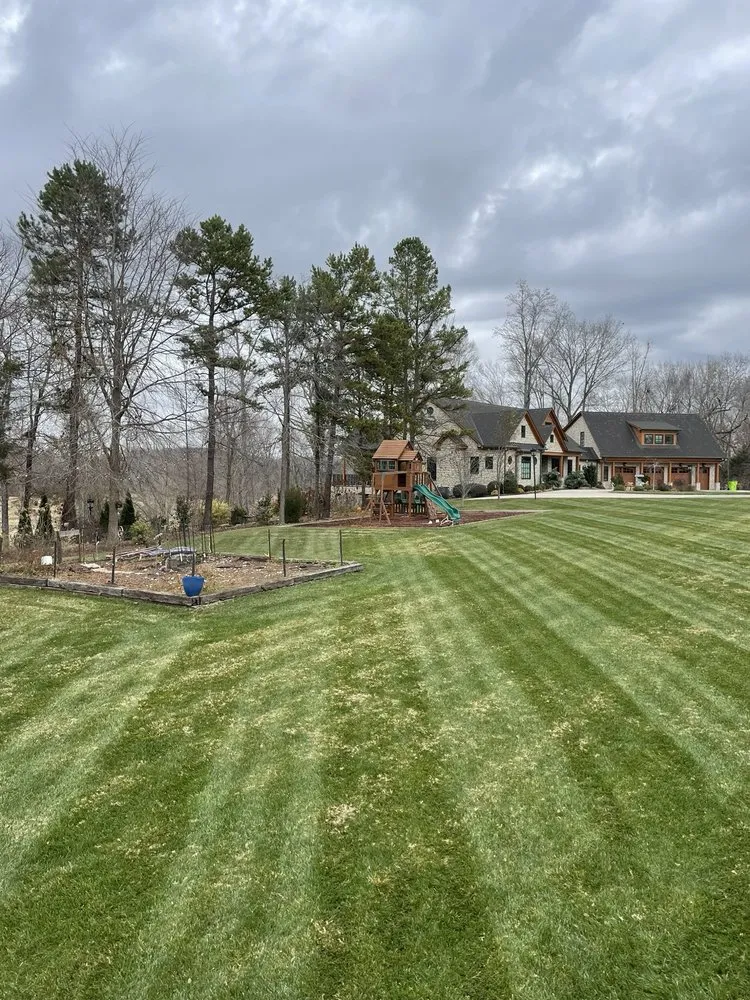 Professional yard cleanup service in Winston-Salem, NC - Tellez Landscaping and Lawncare