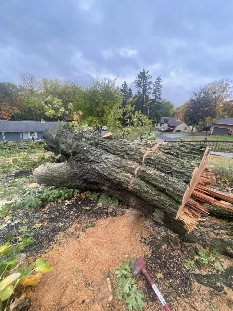 Custom yard cleanup service for residential properties in Miamisburg, OH by Tellez Lawn Care Service