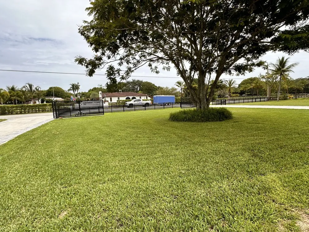 Affordable garden landscaping in Davie, FL by Tellez Lawn Services