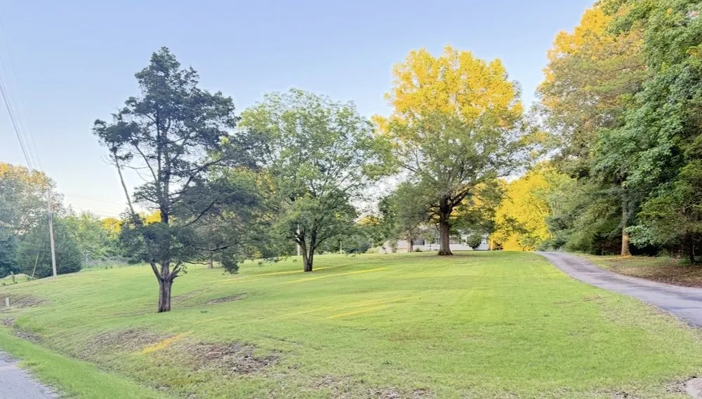 Reliable landscaping services experts serving Arlington, TN - Tellez Outdoor Solution