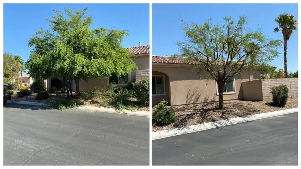 Reliable residential landscaping near you across Indio, CA - Tellez Paradise Landscape & Gardening