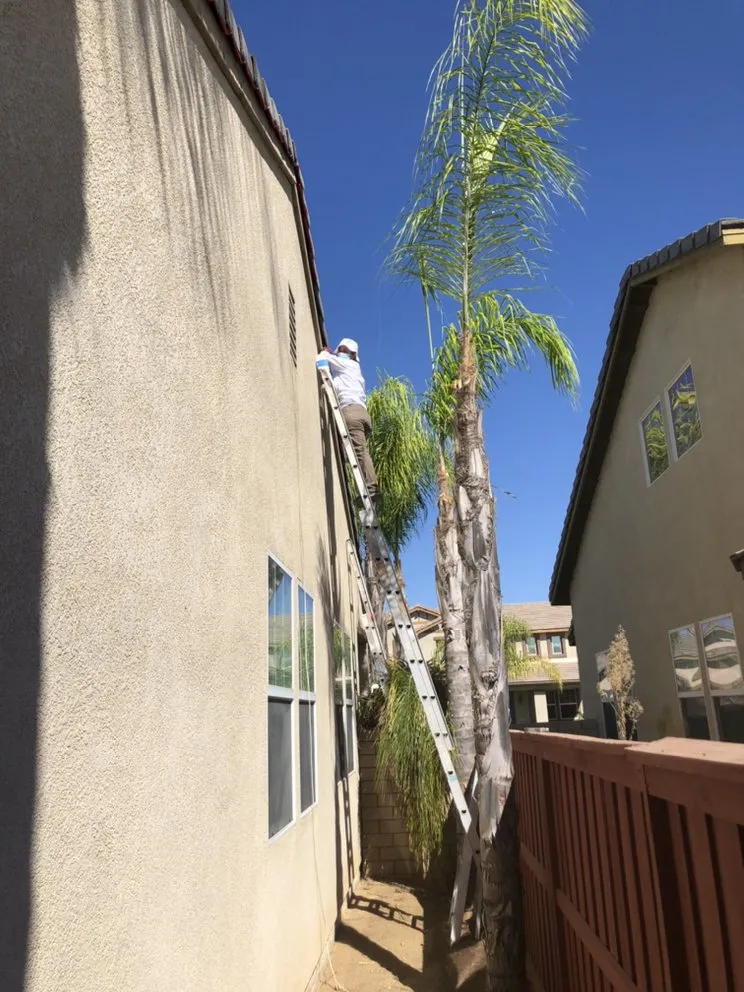 Trusted yard cleanup service for beautiful yards across Indio, CA - Tellez Paradise Landscape & Gardening