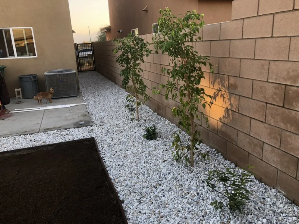 Trusted landscaping services near you across Indio, CA - Tellez Paradise Landscape & Gardening