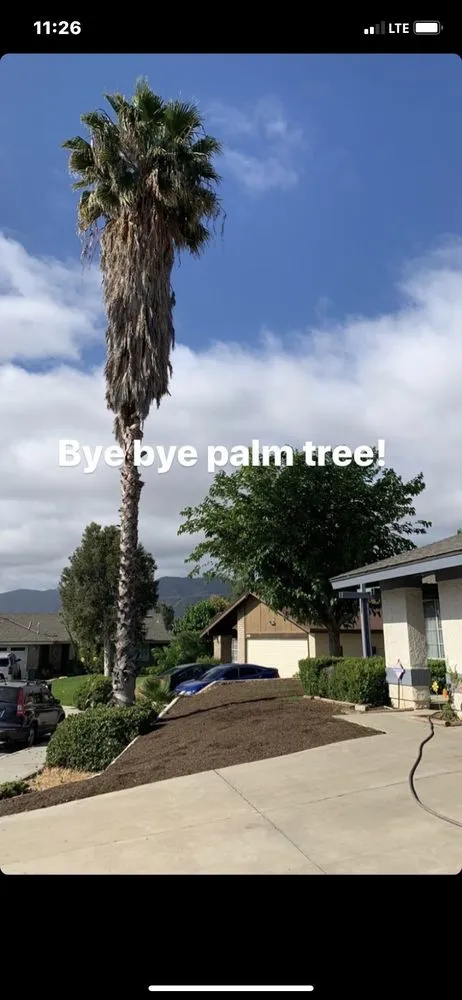 Professional residential landscaping for outdoor upgrades across Indio, CA - Tellez Paradise Landscape & Gardening