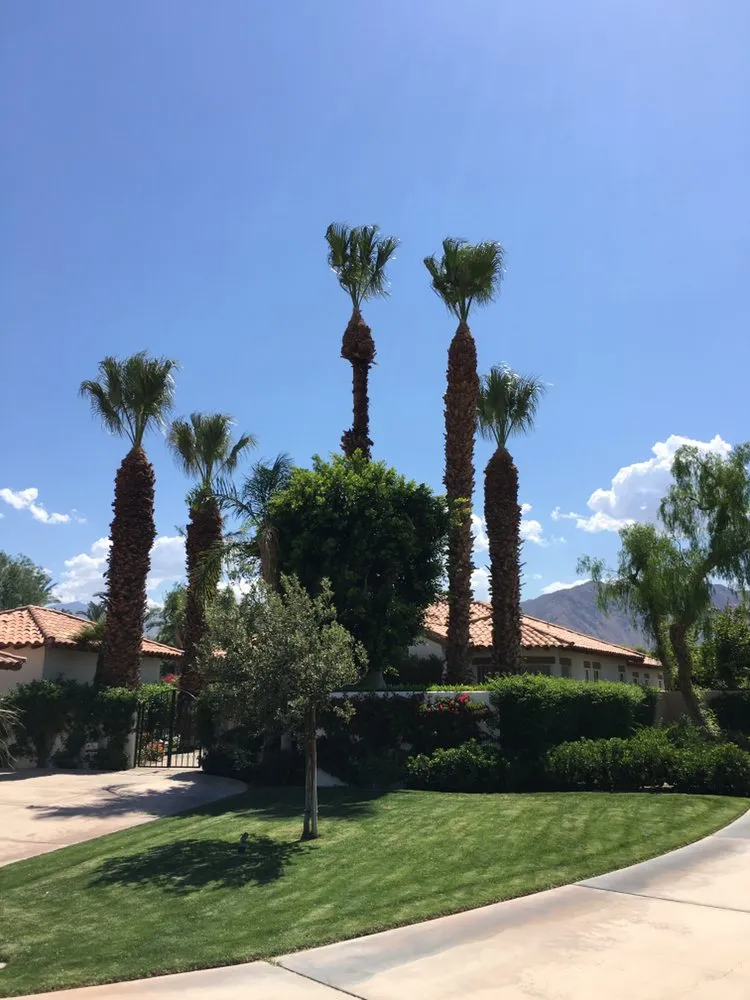 Top-rated landscape design for beautiful yards in Indio, CA by Tellez Paradise Landscape & Gardening
