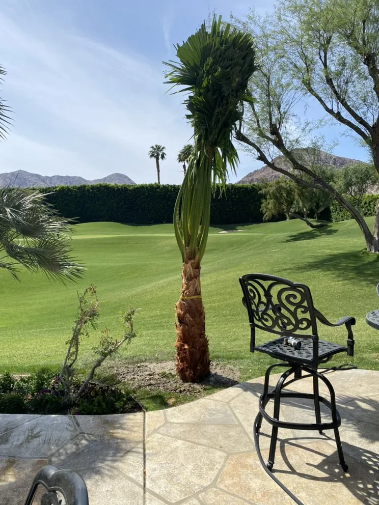 Expert residential landscaping for residential properties across Indio, CA - Tellez Paradise Landscape & Gardening