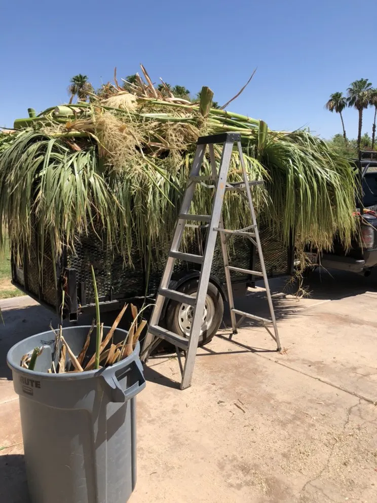 Local landscaping services with custom design in Indio, CA by Tellez Paradise Landscape & Gardening