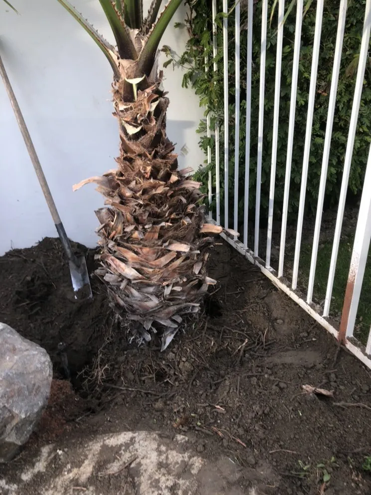 Affordable residential landscaping in Indio, CA by Tellez Paradise Landscape & Gardening