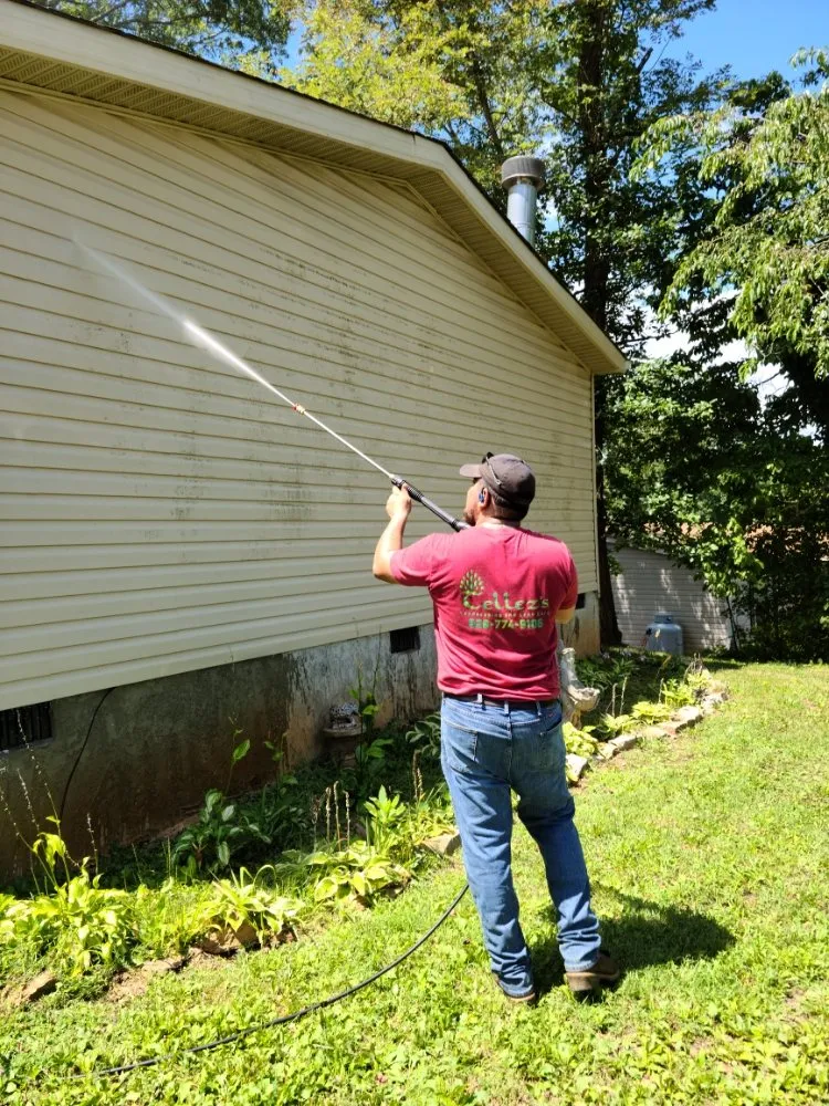 Affordable lawn mowing service in Swannanoa, NC - Tellez's Landscaping & Land Care