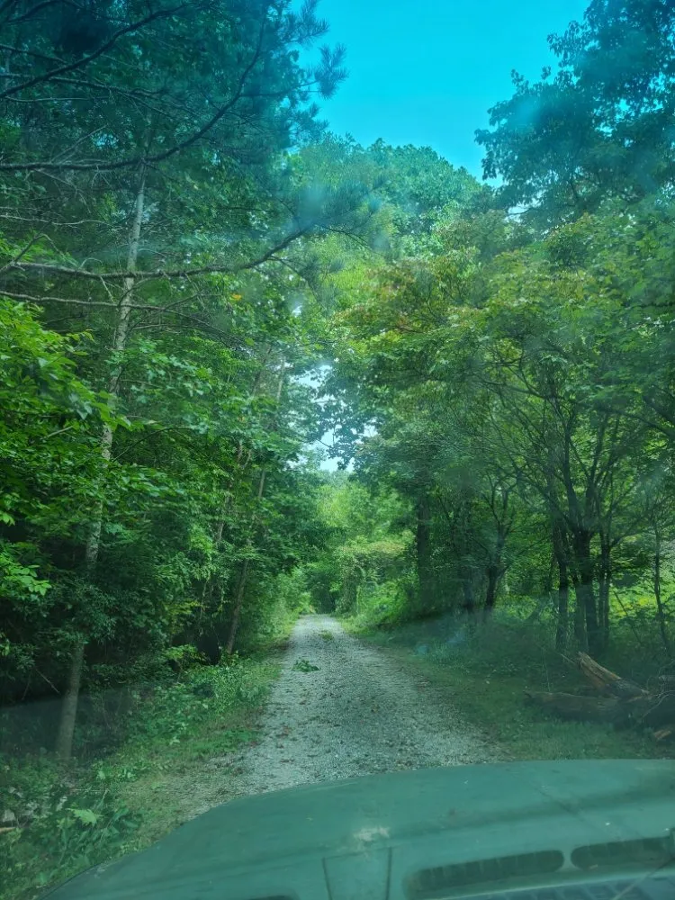 Custom lawn mowing service experts serving Swannanoa, NC - Tellez's Landscaping & Land Care