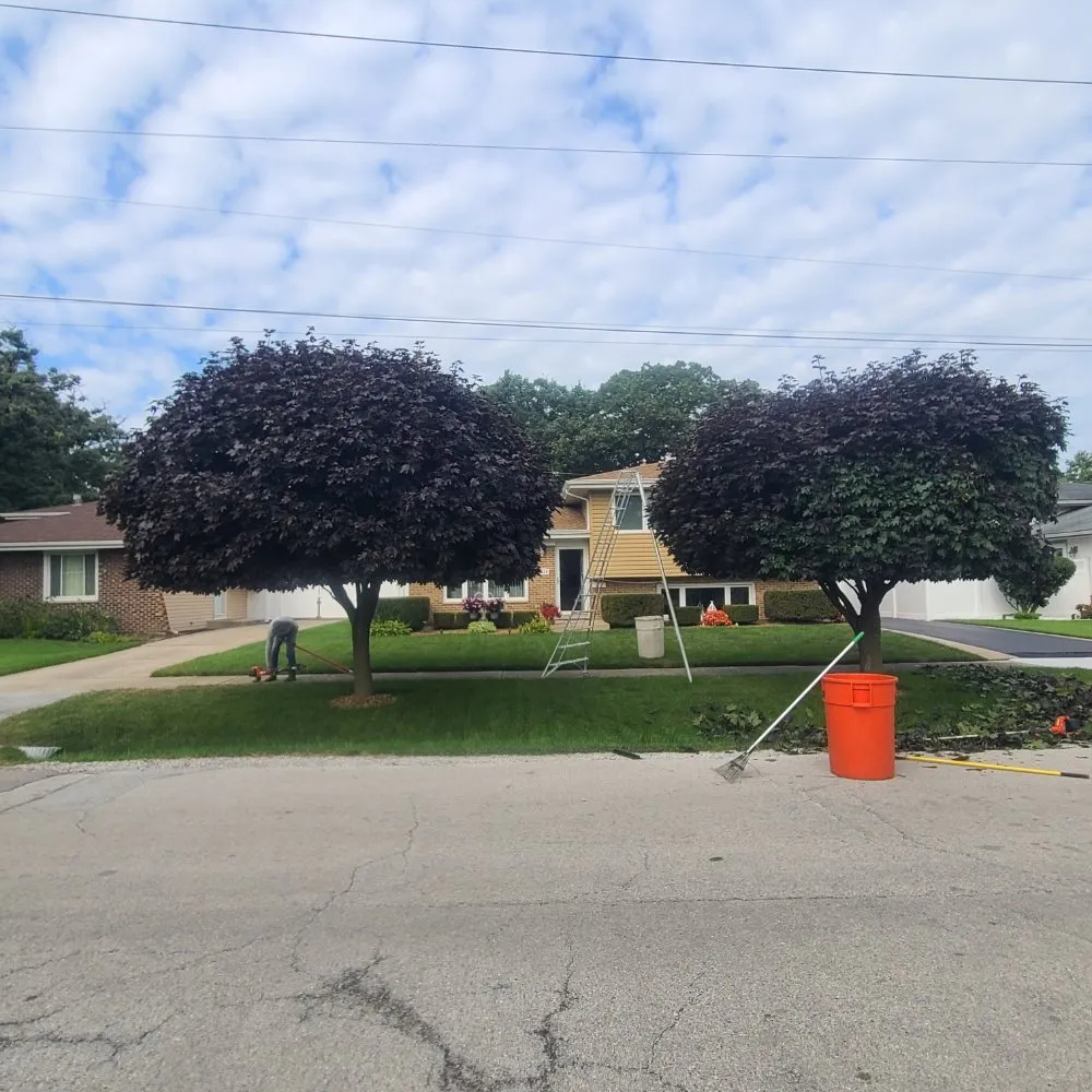 Trusted outdoor landscaping experts serving Posen, IL - Tello And Son's