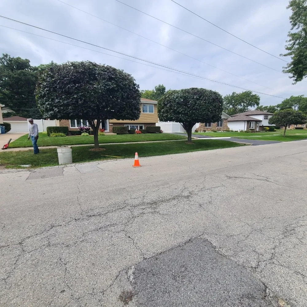 Affordable landscaping services with custom design across Posen, IL - Tello And Son's