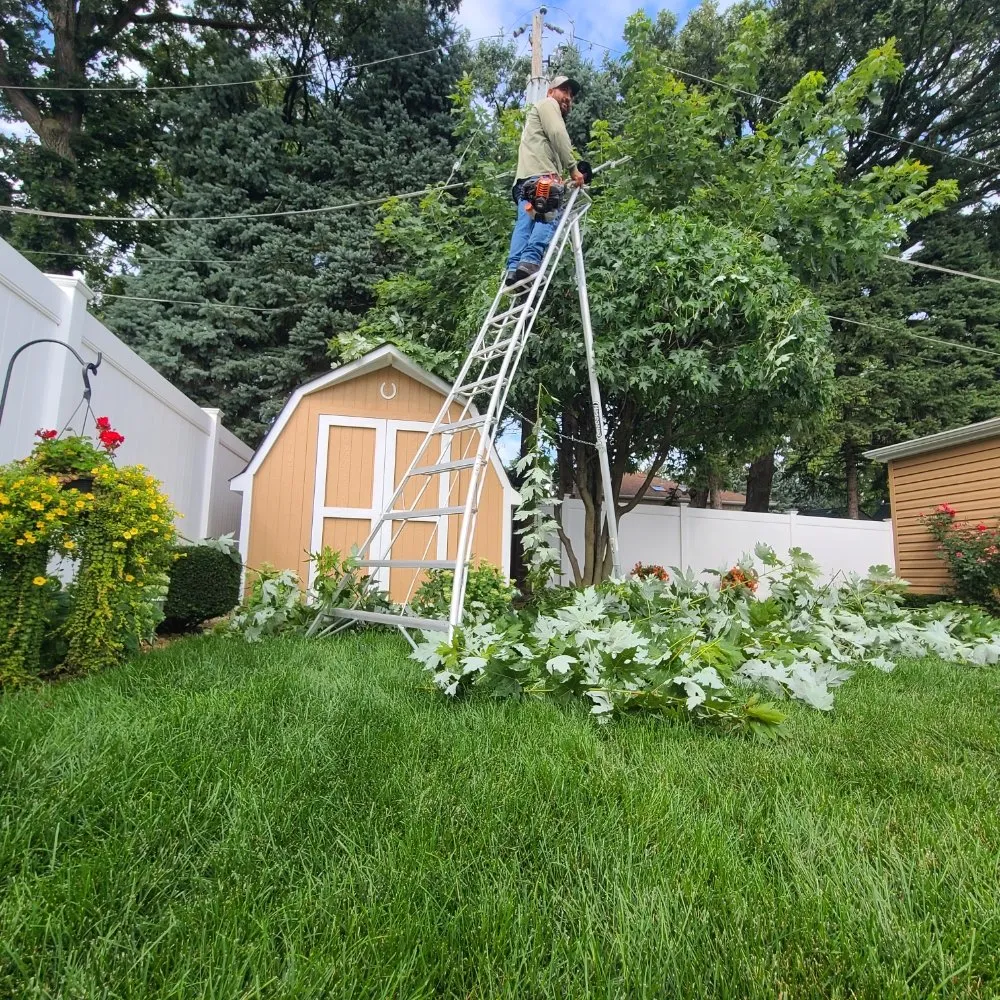 Affordable lawn mowing service in Posen, IL - Tello And Son's