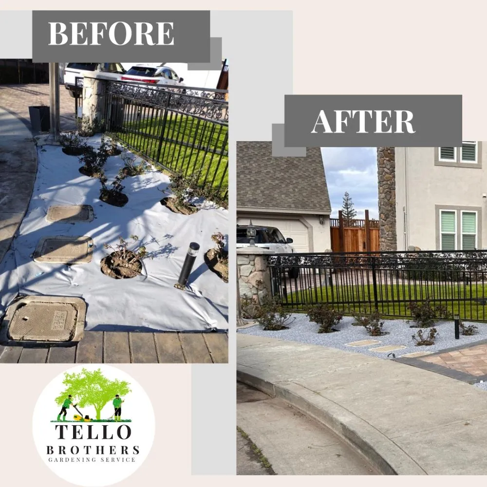Professional landscape installation in San Jose, CA - Tello Brothers Gardening Service