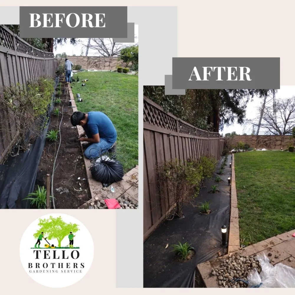 Local yard cleanup service for residential properties in San Jose, CA by Tello Brothers Gardening Service