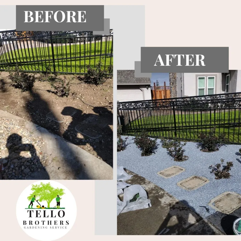 Reliable lawn mowing service in San Jose, CA - Tello Brothers Gardening Service
