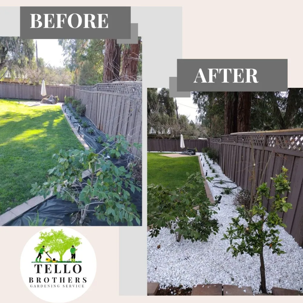 Local landscape installation for year-round maintenance in San Jose, CA by Tello Brothers Gardening Service