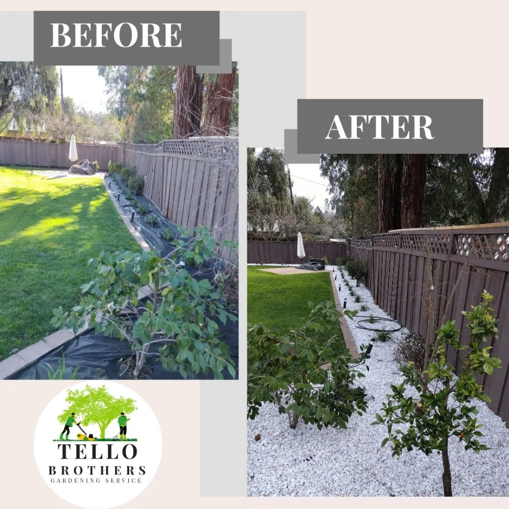 Top-rated lawn care service in San Jose, CA by Tello Brothers Gardening Service
