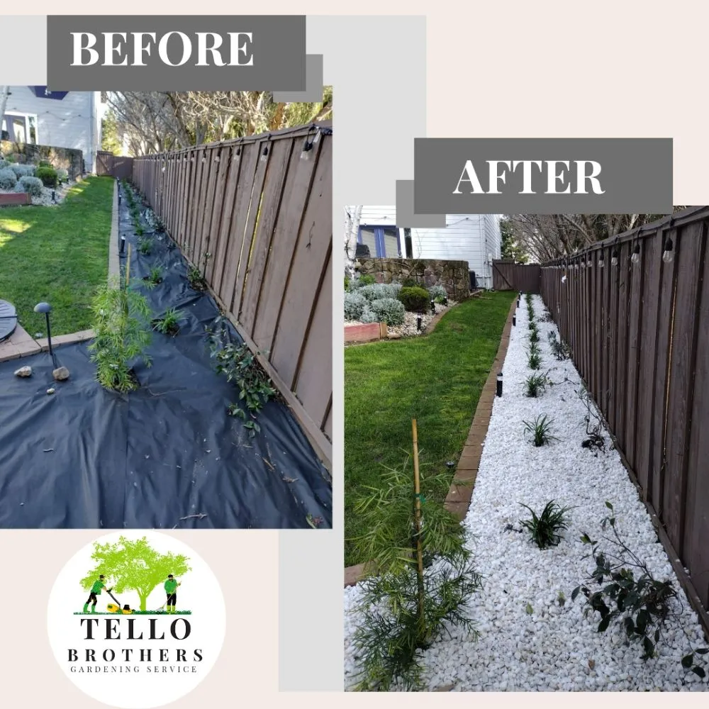 Professional landscaping services in San Jose, CA - Tello Brothers Gardening Service