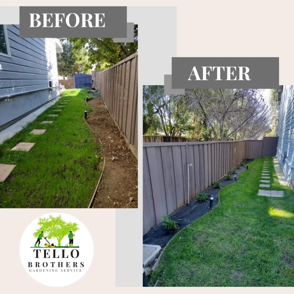 Affordable yard cleanup service for residential properties across San Jose, CA - Tello Brothers Gardening Service