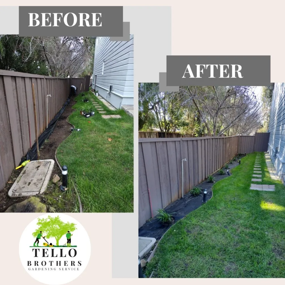 Custom lawn mowing service in San Jose, CA - Tello Brothers Gardening Service