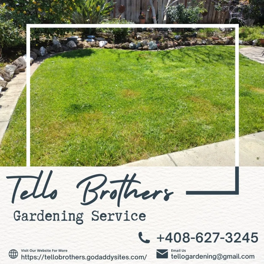 Trusted landscaping services in San Jose, CA by Tello Brothers Gardening Service