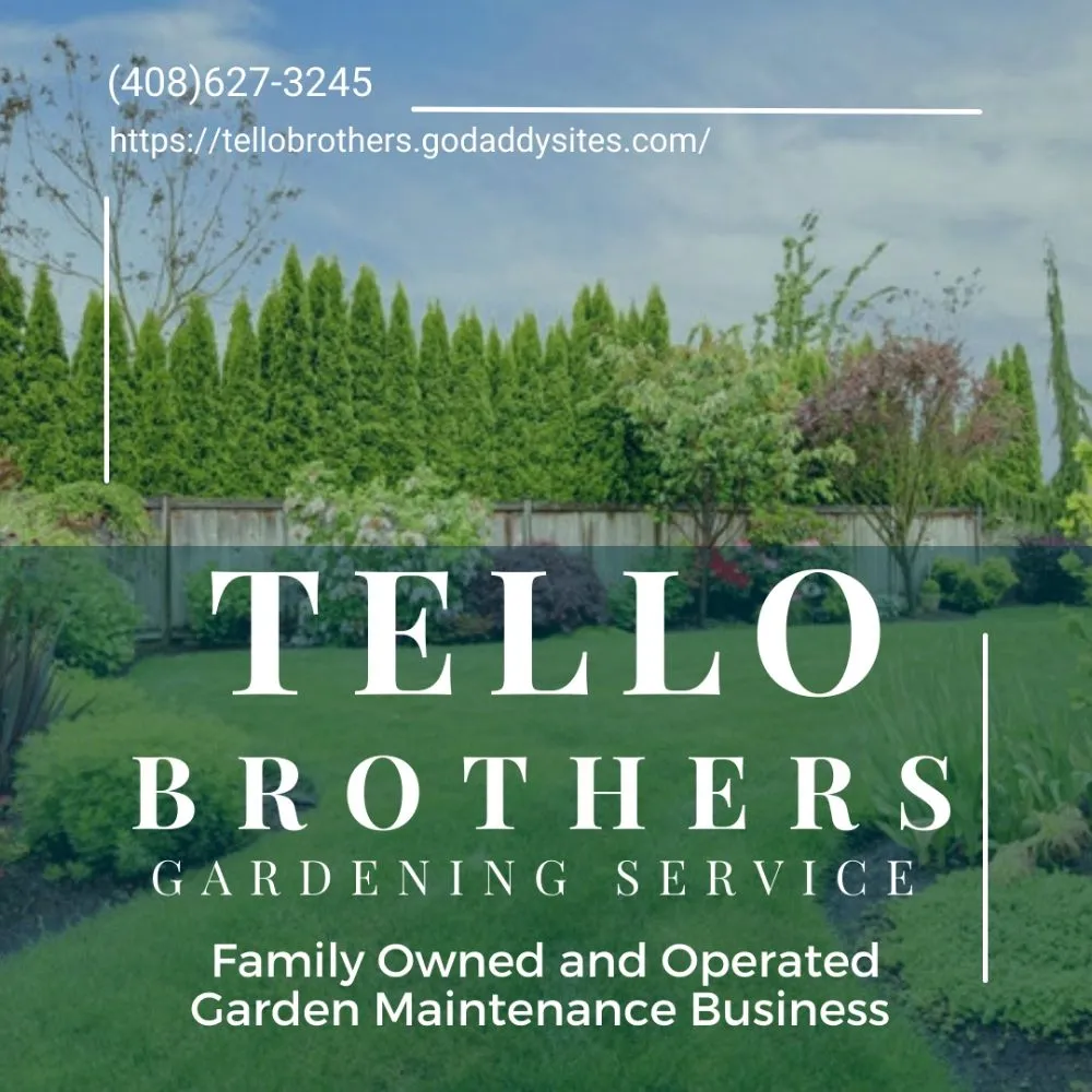 Expert outdoor landscaping near you across San Jose, CA - Tello Brothers Gardening Service
