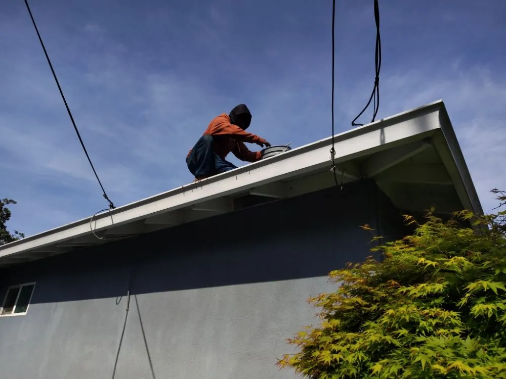 Expert lawn mowing service for residential properties across San Jose, CA - Tello Brothers Gardening Service