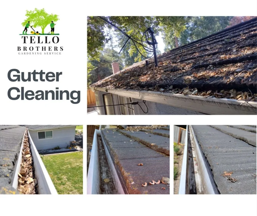 Professional landscape installation experts serving San Jose, CA - Tello Brothers Gardening Service