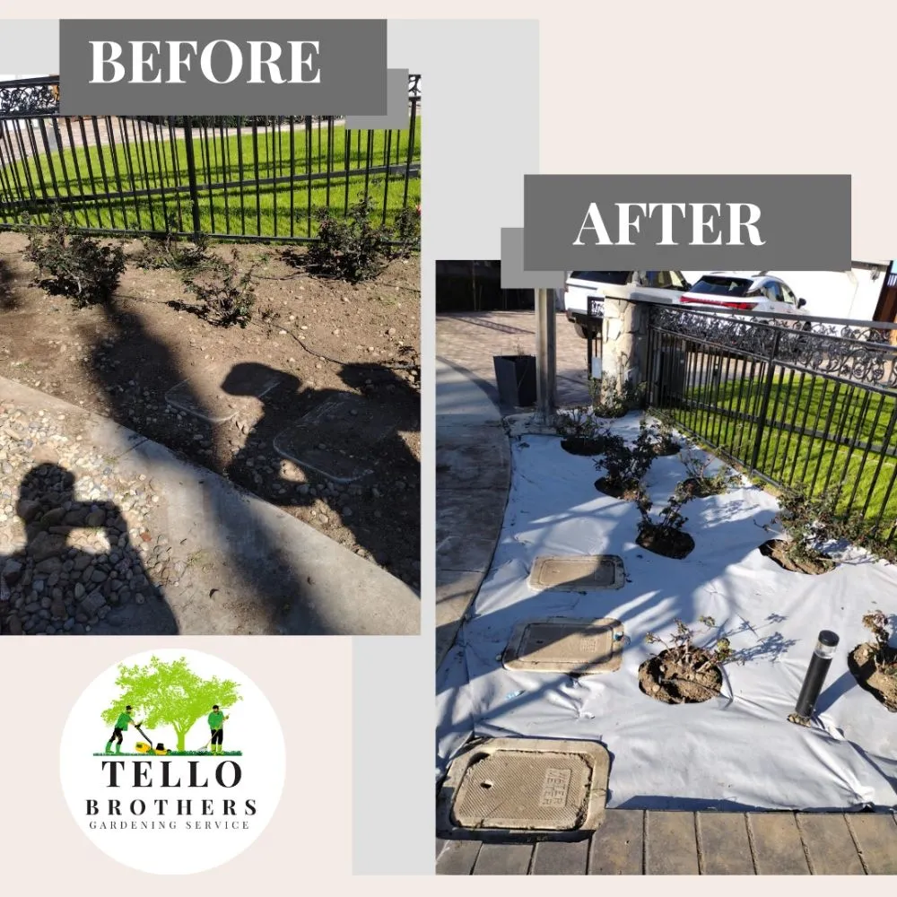Top-rated outdoor landscaping for year-round maintenance in San Jose, CA by Tello Brothers Gardening Service