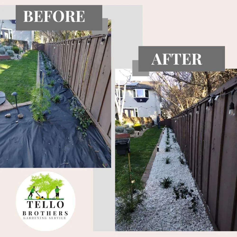 Local lawn mowing service for homes across San Jose, CA - Tello Brothers Gardening Service