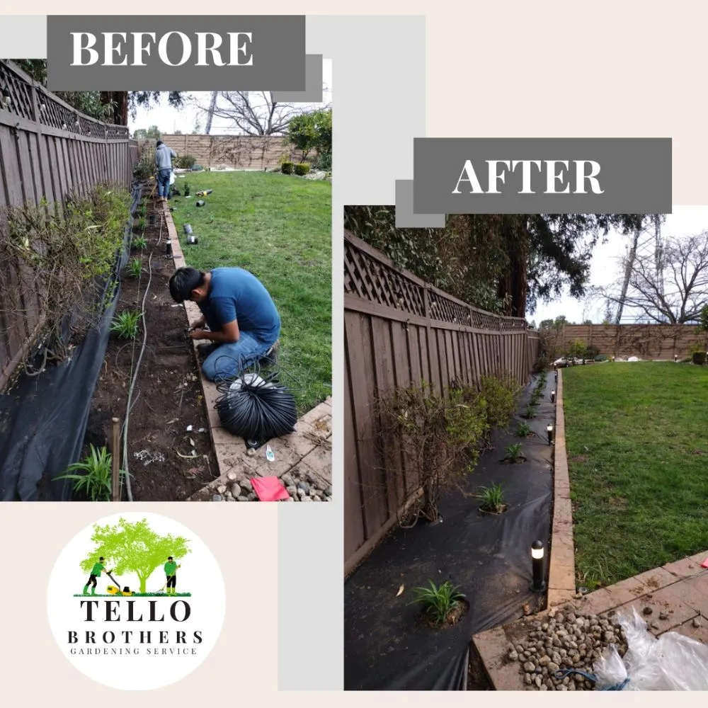 Custom yard maintenance in San Jose, CA by Tello Brothers Gardening Service